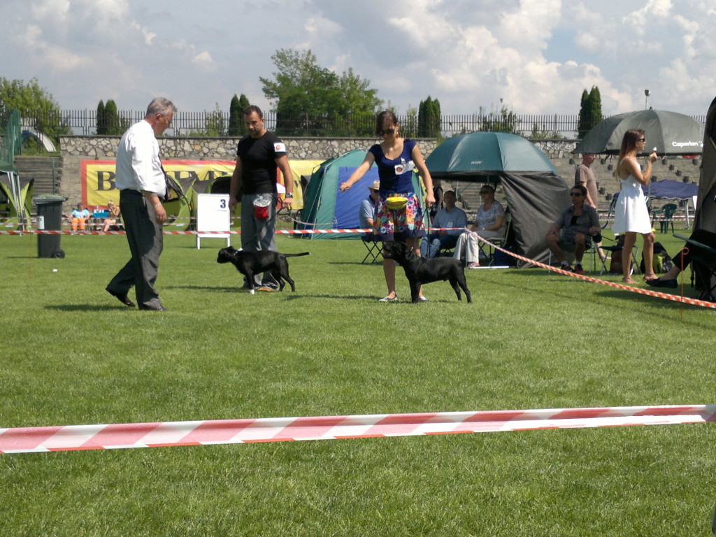 2014-07-26-1083