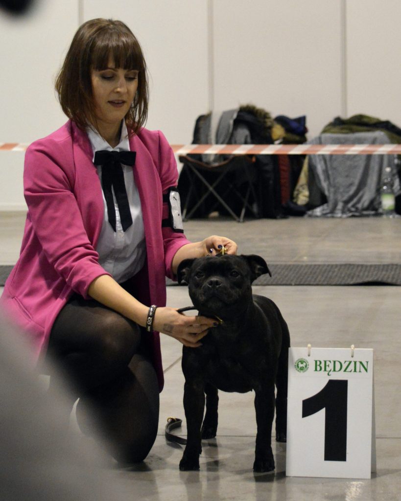 expo jania2